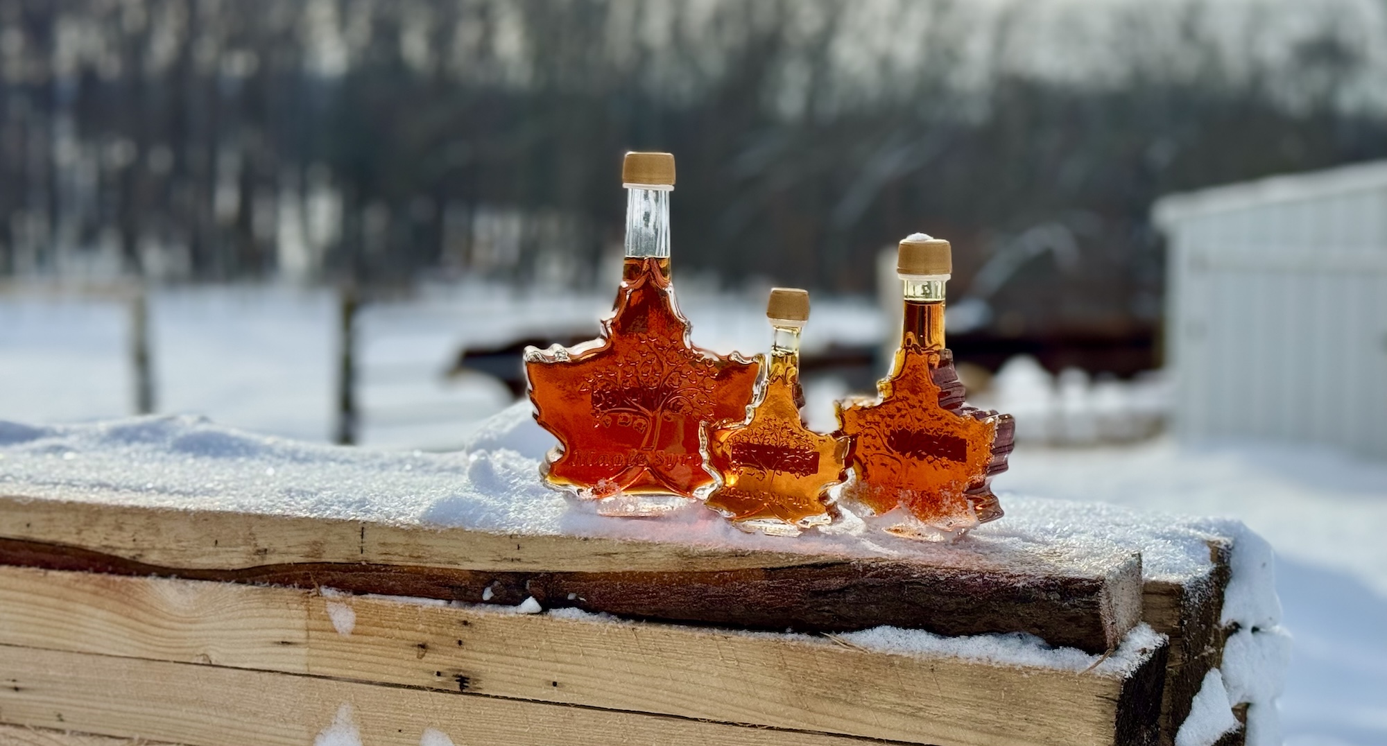 Pure Local Maple Syrup in Garrett County