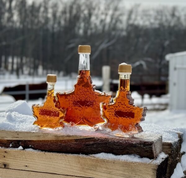 Maple Syrup Leaf Glass Set