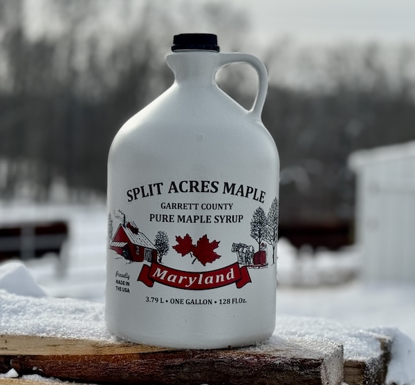 One Gallon Jug Maple Syrup